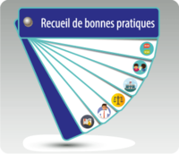 Recueil de bonnes pratiques – Volet établissements du réseau de la santé et des services sociaux.