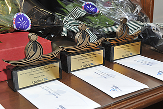 Trophées du Prix À part entière, qui ont été remis lors de la cérémonie.