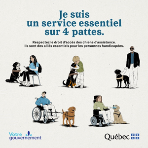 Je suis un service essentiel sur 4 pattes. Respectez le droit d’accès des chiens d’assistance. Ils sont des alliés essentiels pour les personnes handicapées.  Signature gouvernementale : Votre gouvernement, gouvernement du Québec.