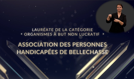 Aucune possibilité de jouer la vidéo.