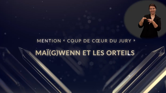 Aucune possibilité de jouer la vidéo.