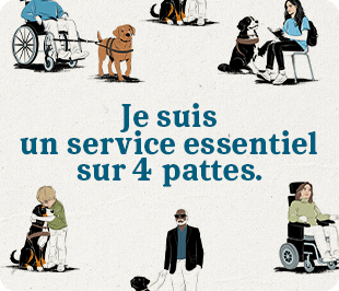 Je suis un service essentiel sur 4 pattes.
